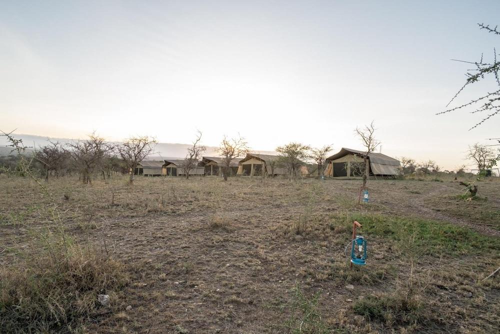 Hotel Serengeti Wildebeest Camp Exteriér fotografie