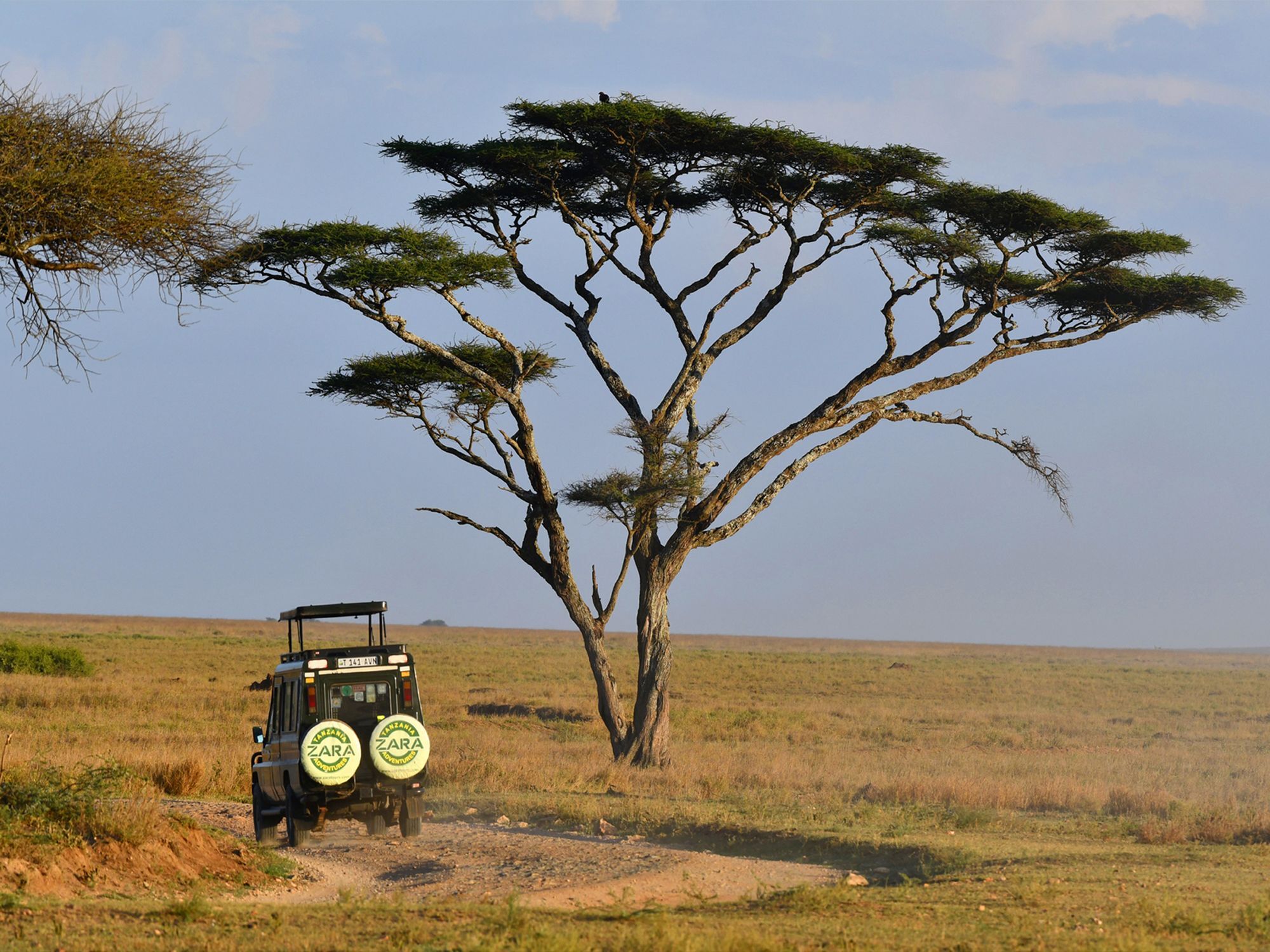 Hotel Serengeti Wildebeest Camp Exteriér fotografie